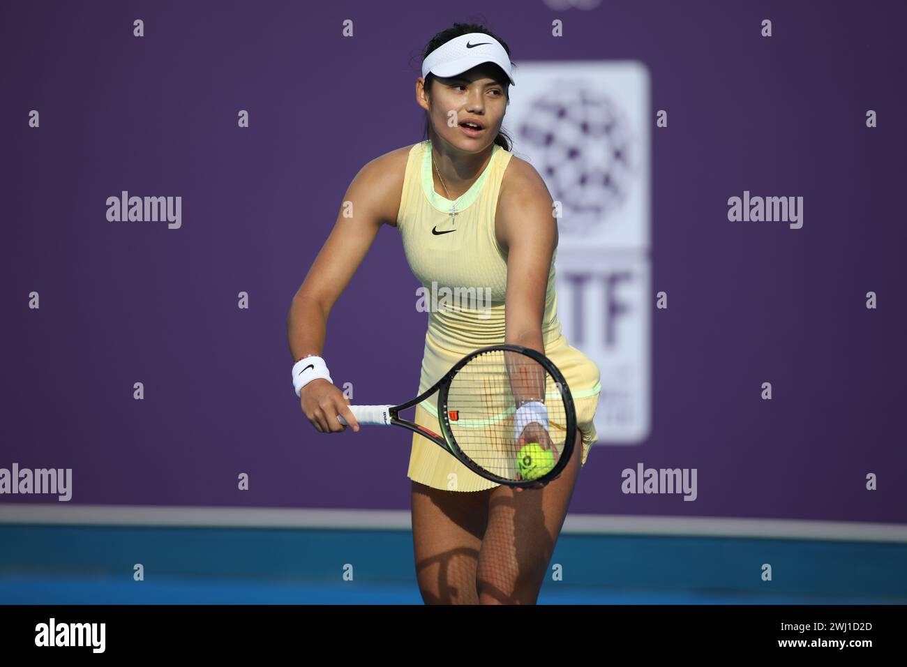 DOHA, KATAR - 12. FEBRUAR: Emma Raducanu aus Großbritannien im Kampf gegen Anhelina Kalinina aus der Ukraine in der ersten Runde am Tag 2 während der Qatar TotalEnergies Open, Teil der Hologic WTA Tour im Khalifa International Tennis and Squash Complex am 12. Februar 2024 in Doha, Katar (MB Media) Credit: MB Media Solutions/Alamy Live News Stockfoto DOHA, KATAR - 12. FEBRUAR: Emma Raducanu aus Großbritannien im Kampf gegen Anhelina Kalinina aus der Ukraine in der ersten Runde am Tag 2 während der Qatar TotalEnergies Open, Teil der Hologic WTA Tour im Khalifa International Tennis and Squash Complex am 12. Februar 2024 in Doha, Katar (MB Media) Credit: MB Media Solutions/Alamy Live News Stockfoto