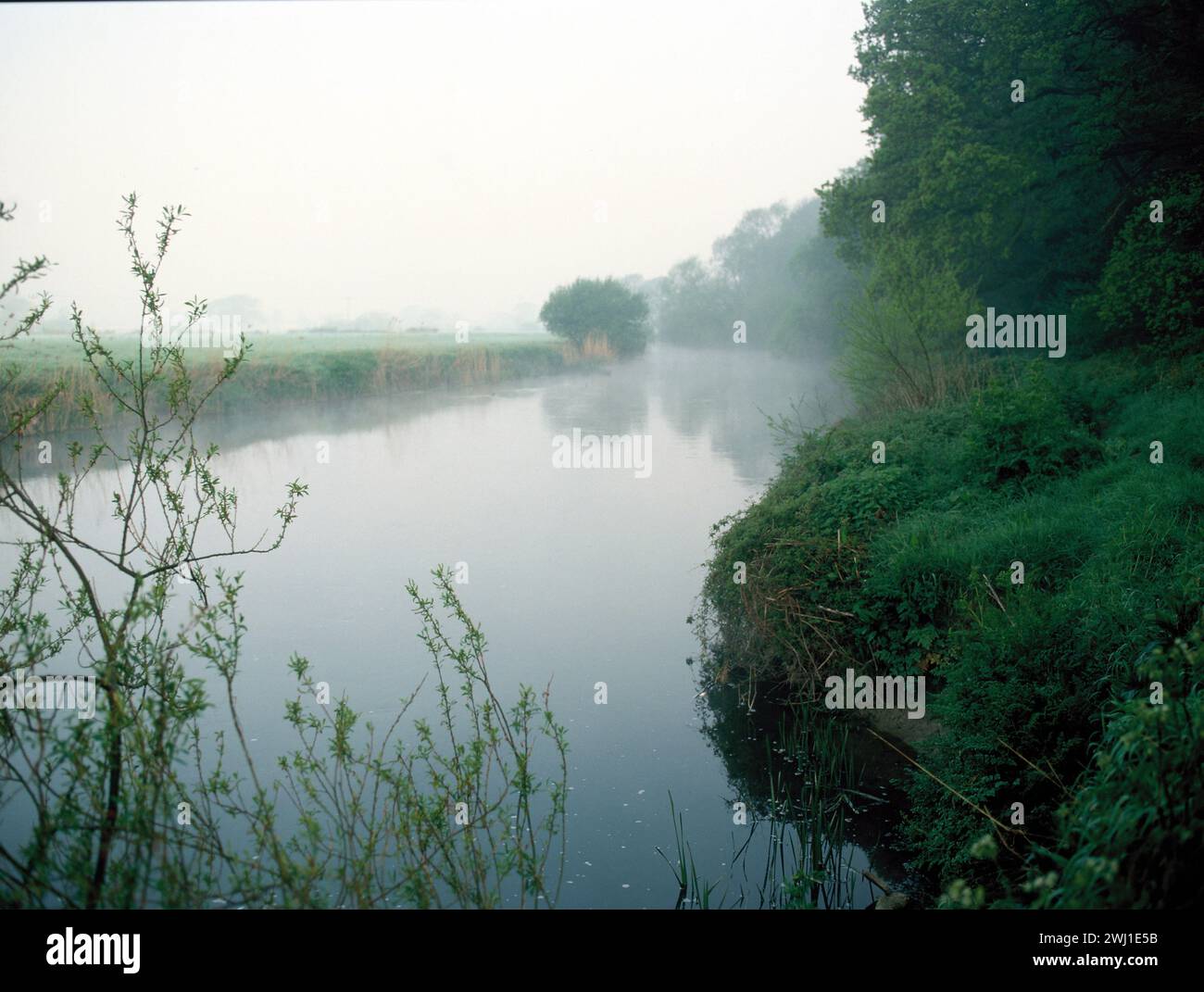 Vereinigtes Königreich. England. Dorset. Nebliges Sumpfgebiet am Fluss Stour. Stockfoto