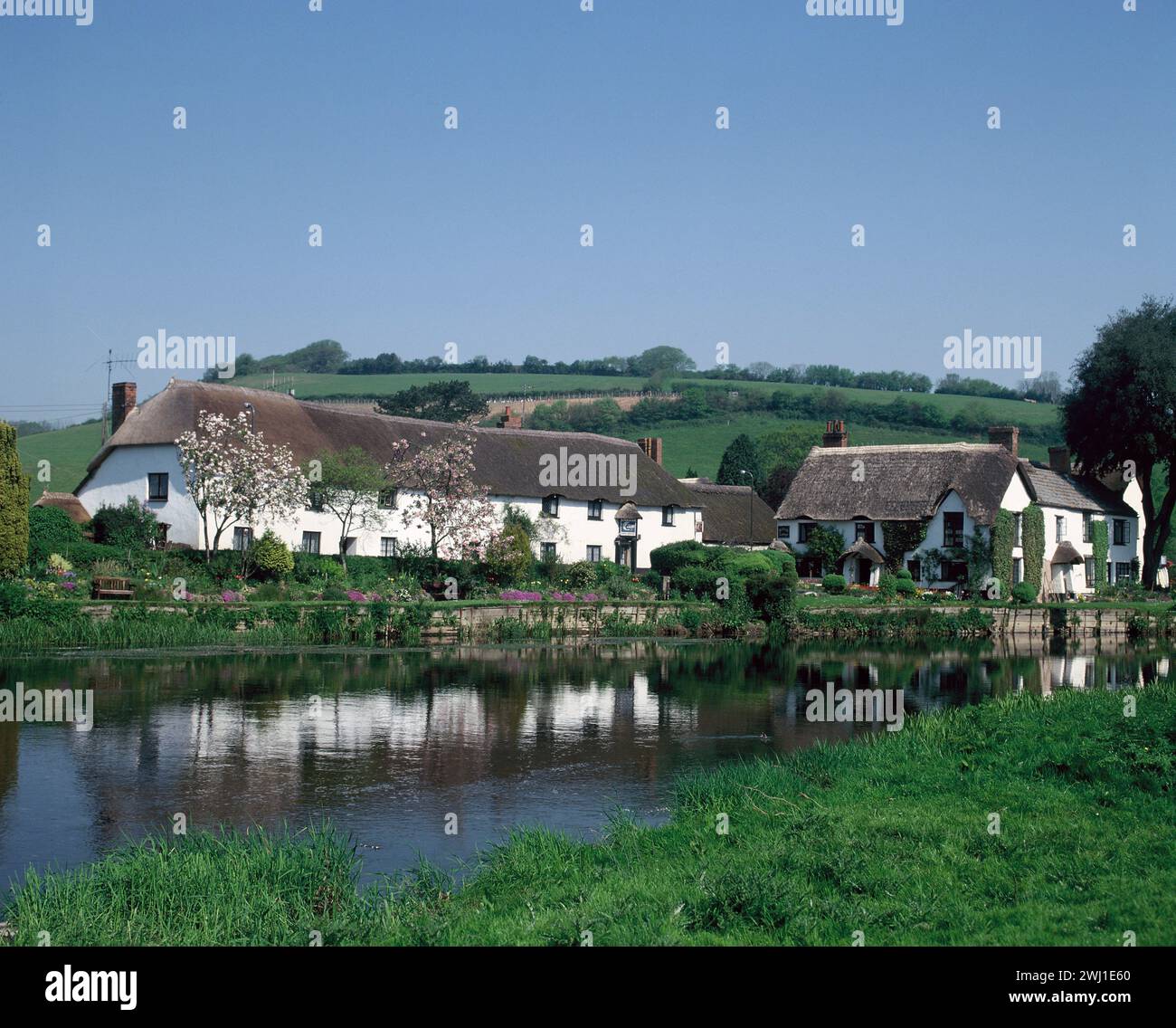 England. Devon. Bickleigh. Strohgedeckte Hütten am Fluss exe. Stockfoto