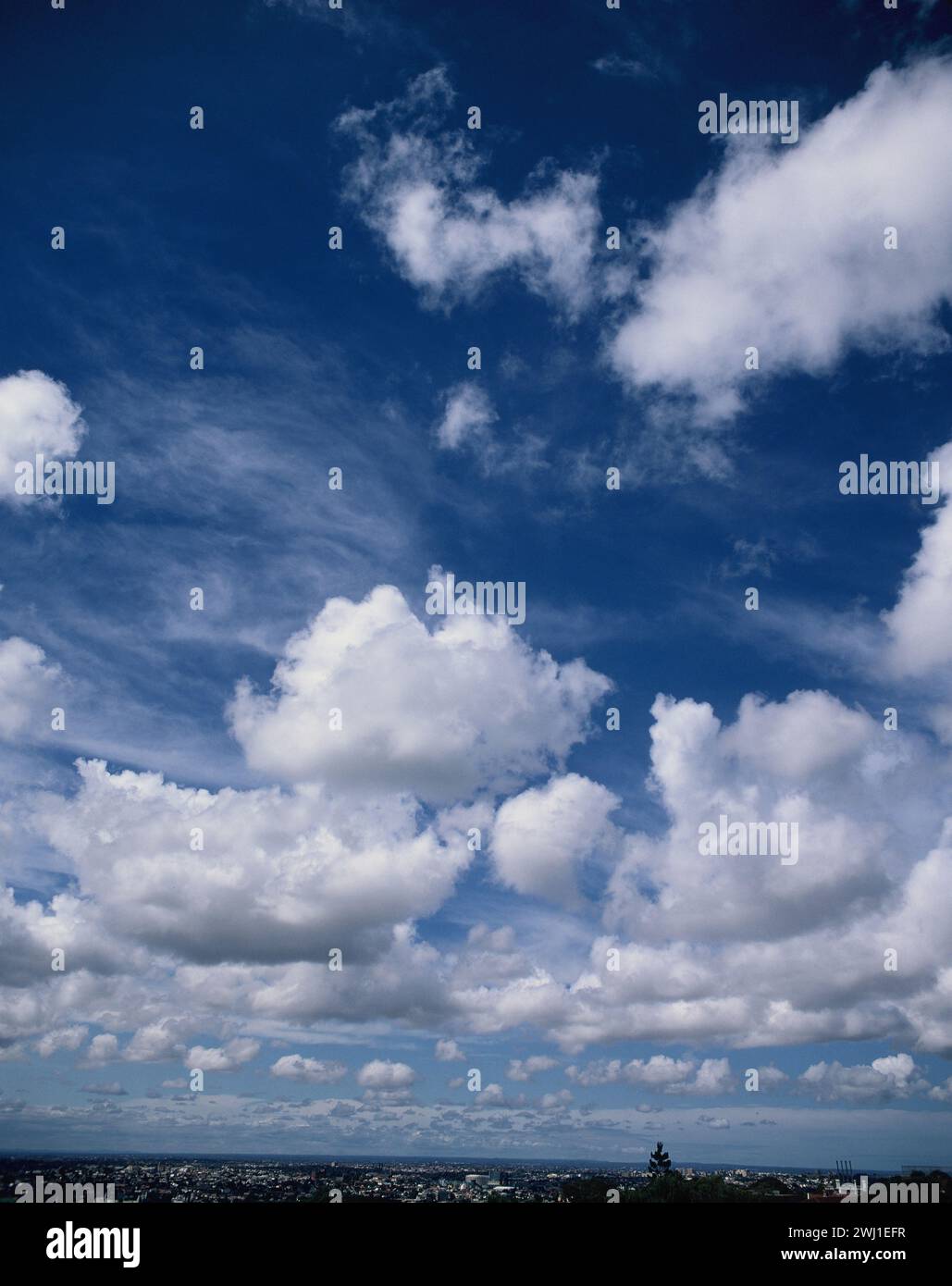 Australien. Sydney. Landschaftsblick nach Westen. Blauer Himmel mit schönen Wetterwolken. Stockfoto