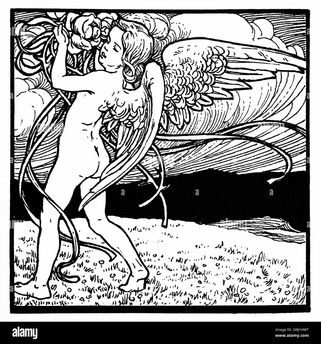 1905 Cherub Illustration von Bolognese, Grafiker, Alfredo Baruffi Stockfoto