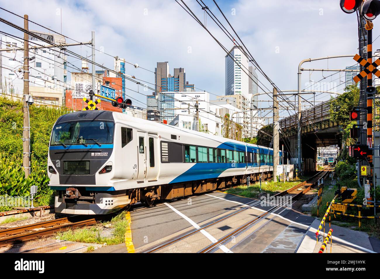 Japan Rail JR East Regionalzug auf der Saikyo-Linie bei Yoyogi in Tokio, Japan Stockfoto