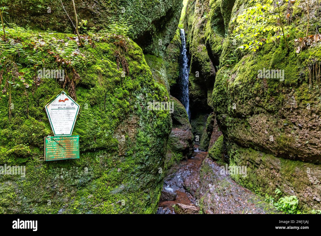 Wandern in der Drachenschlucht Eisenach Thüringen Stockfoto