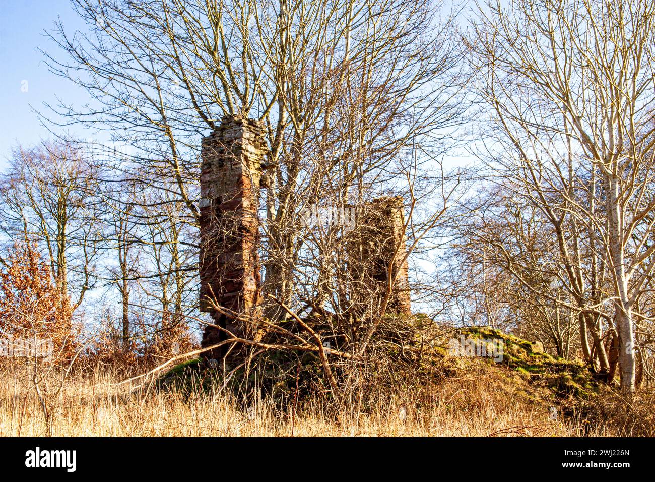 Wunderschöne Wintersonne im Trottick Wildlife and Nature Reserve in Dundee, Schottland Stockfoto