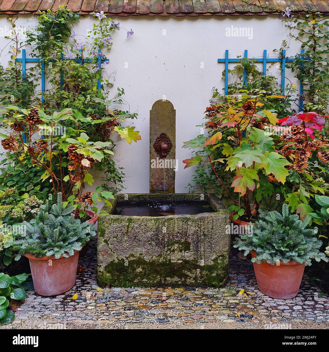Garten mit originalem Brunnen, Museum der Deutschen Romantik, Goethe-Haus, Frankfurt am Main, Deutschland Stockfoto