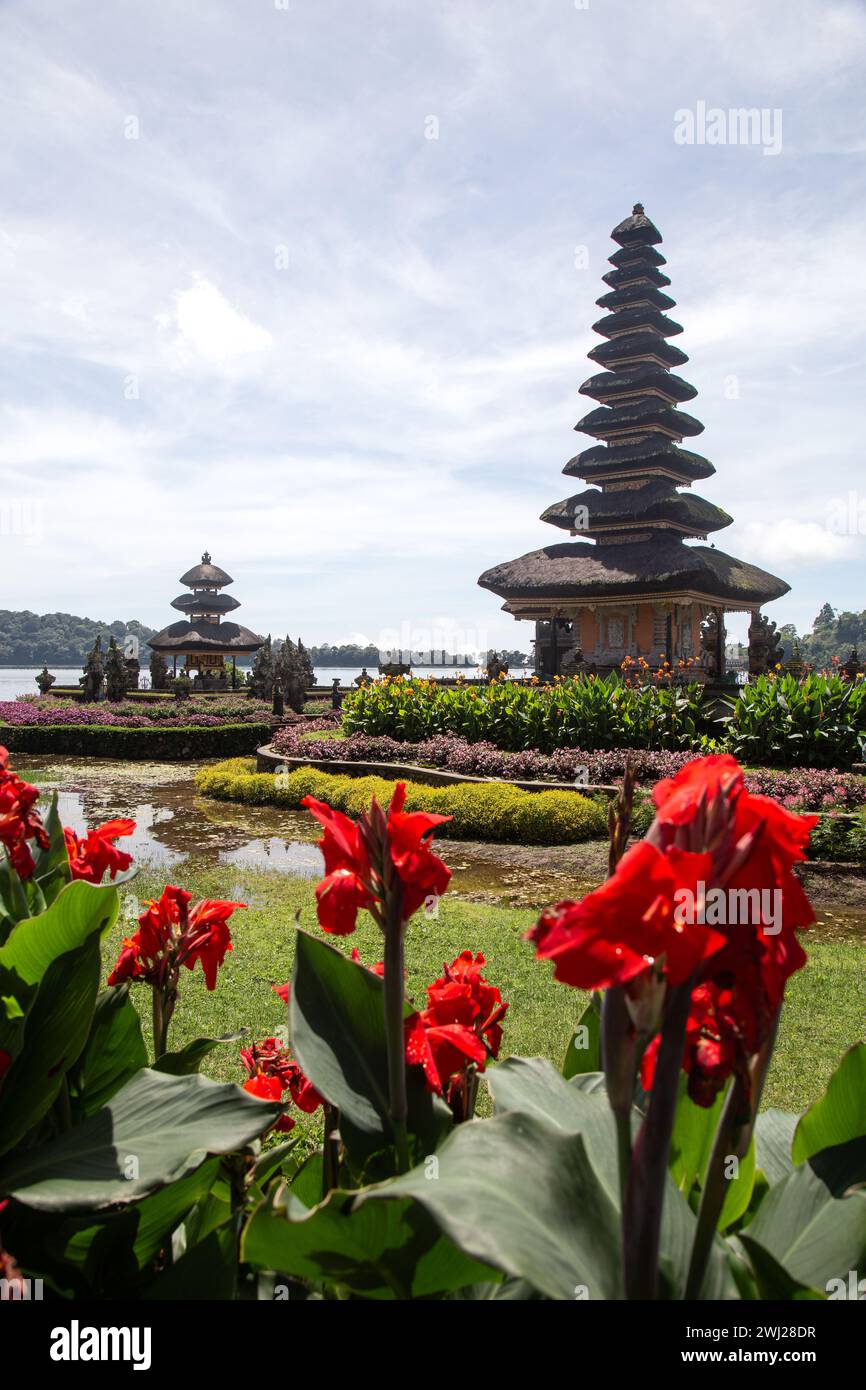 Rote Blumen mit dem berühmten balinesischen Beratan-Tempel Stockfoto Rote Blumen mit dem berühmten balinesischen Beratan-Tempel Stockfoto