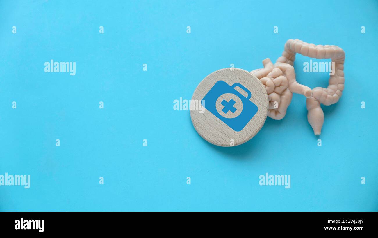 Konzept der Darmerkrankung, Reizdarmsyndrom, Dickdarm, Colitis ulcerosa, Divertikulitis, Kolorektalkarzinom und Verdauungssystem. Stockfoto