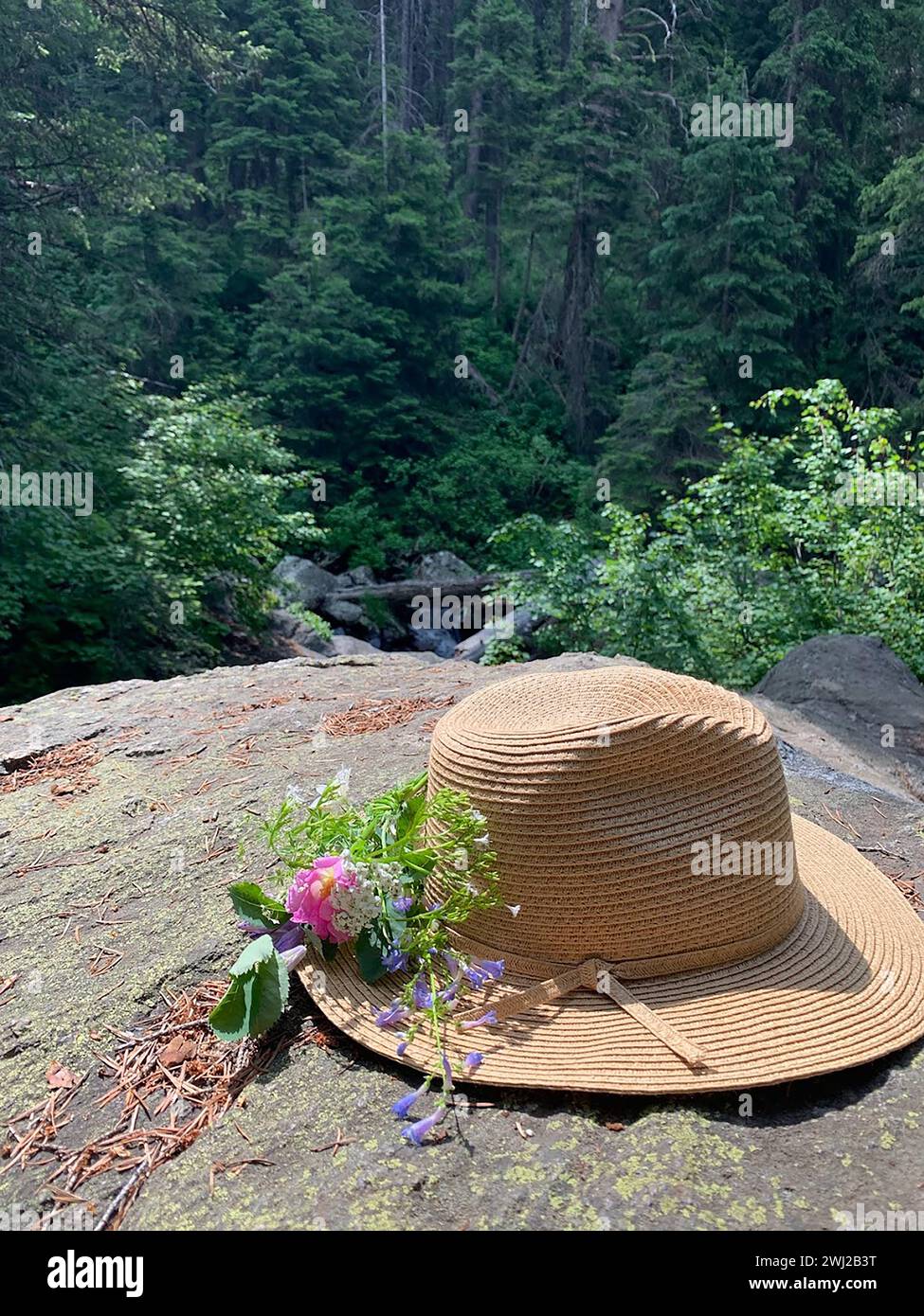 Strohhut mit Wildblumen auf Rock Stockfoto