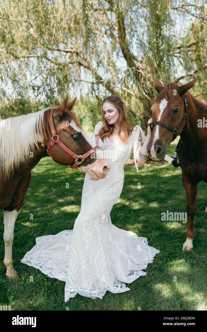 Zwei Hauspferde mit Braut in einem Spitzenkleid Stockfoto