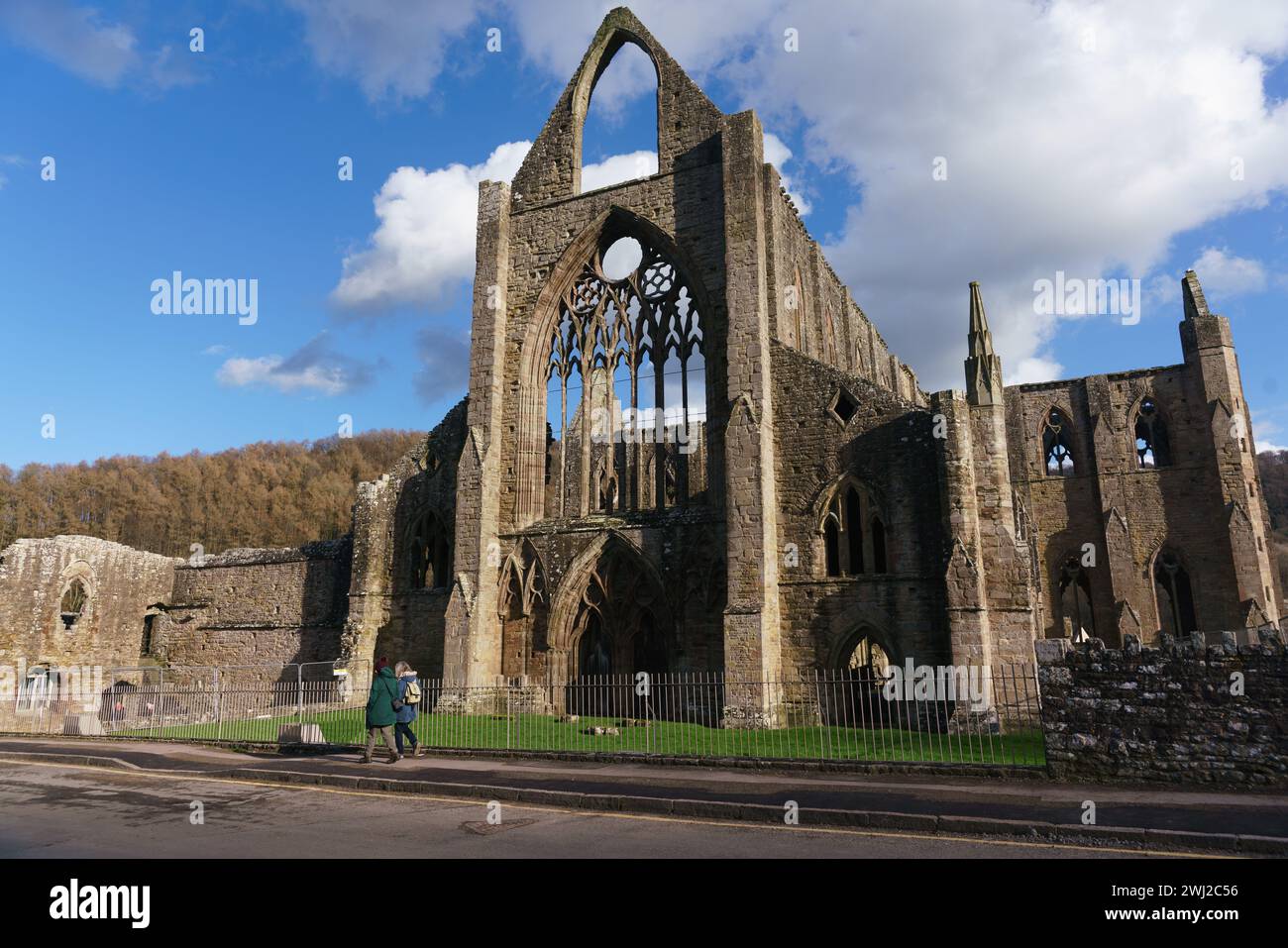 Die 1131 gegründete Tintern Abbey befindet sich neben dem Dorf Tintern in Monmouthshire, Südwales und wird derzeit daran gearbeitet, sie zu stabilisieren. Stockfoto