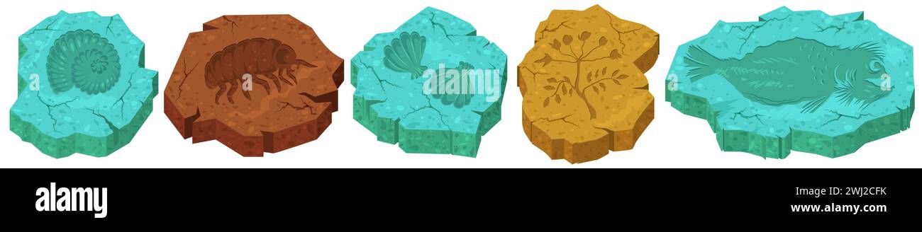 Fossile Steine mit Käfern, Muscheln, Pflanzen, Weichtieren und Silhouetten Stock Vektor