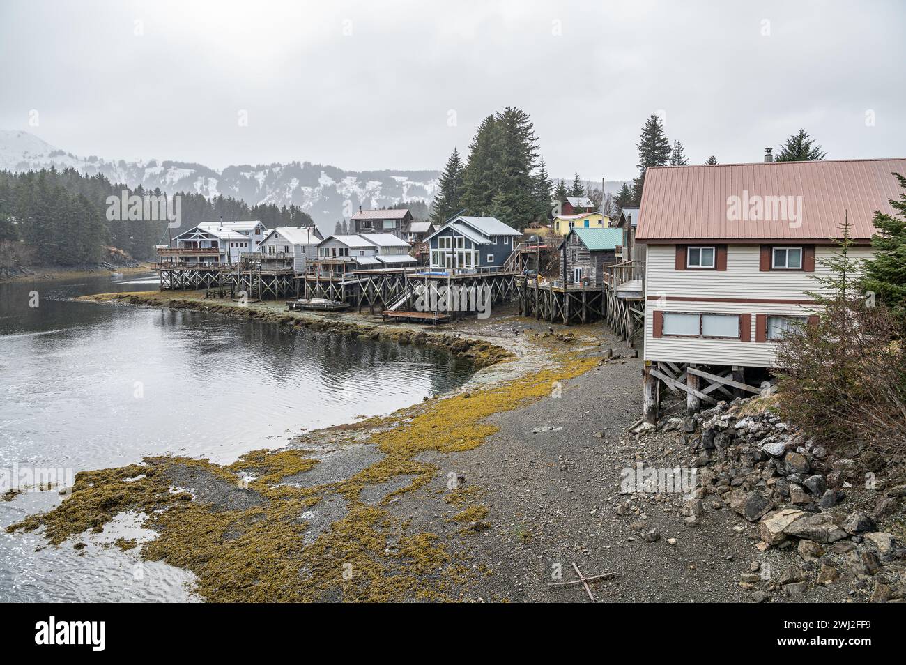 Riverside Häuser mit Blick auf den Slough von Seldovia mit Fischern, die ihren Fang säubern und Weißkopfseeadlern, die die Überreste fressen, Seldovia, Alaska, USA Stockfoto