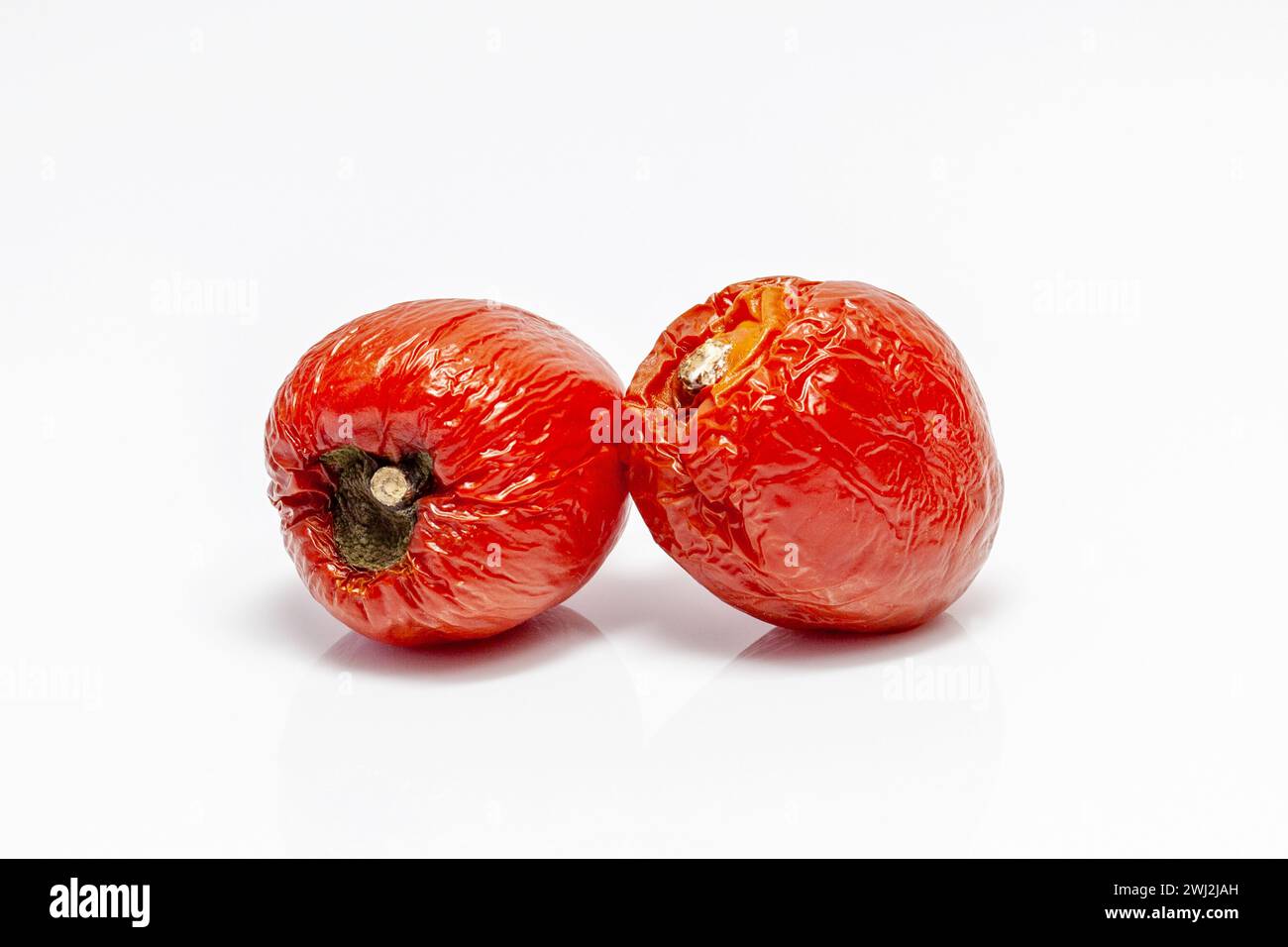Verfaulte Tomaten, isoliert auf weiß. Schimmelige und verdorbene Tomate. Gemüse mit einer Krankheit Stockfoto