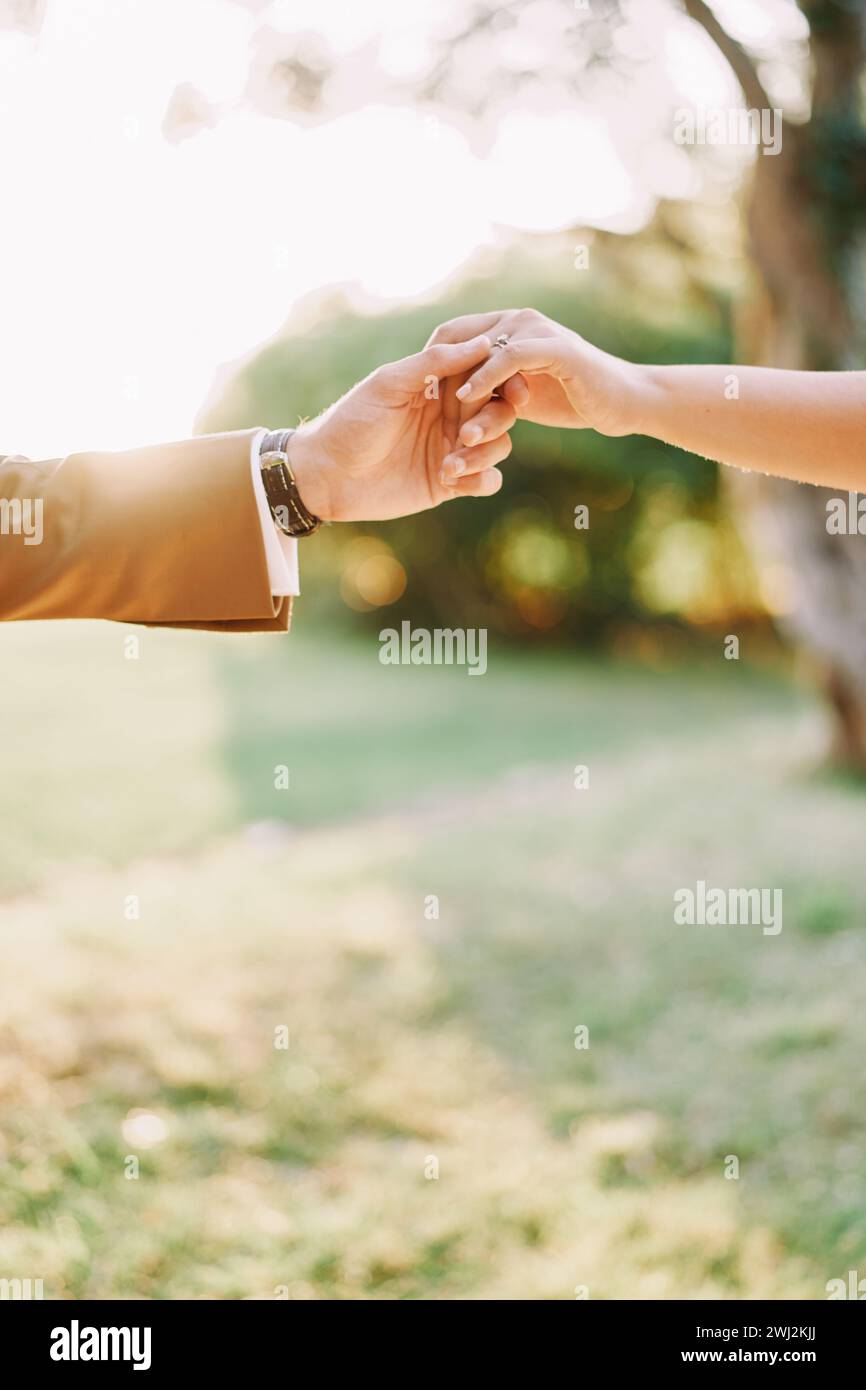 Der Bräutigam hält die Hand der Braut, während er in einem sonnigen Park steht. Abgeschnitten. Gesichtslos Stockfoto
