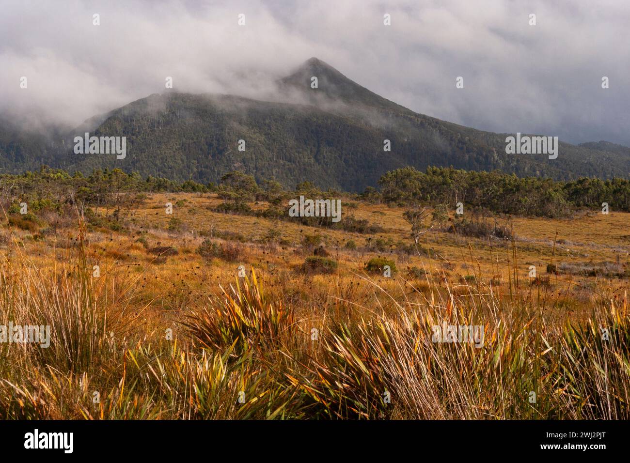 King William Range im Franklin Gordon Wild River Nationalpark im zentralen Hochland Tasmaniens in Australien Stockfoto