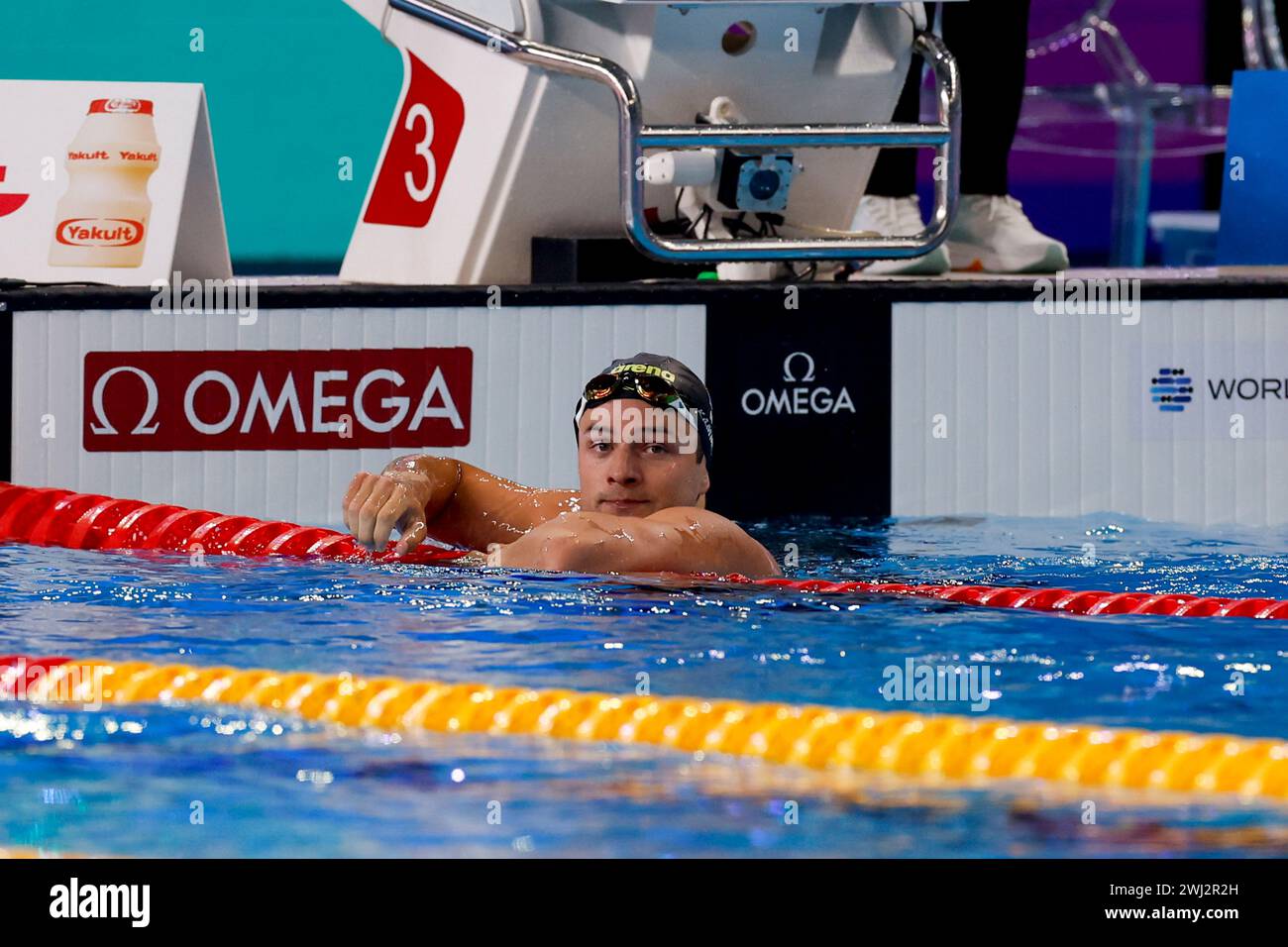 Doha, Katar. Februar 2024. DOHA, KATAR - 12. FEBRUAR: Caspar Corbeau aus den Niederlanden tritt am 11. Tag im 100-m-Brustfinale der Männer an: Schwimmen der Doha-Weltmeisterschaft 2024 im Wassersport am 12. Februar 2024 in Doha, Katar. (Foto: MTB-Photo/BSR Agency) Credit: BSR Agency/Alamy Live News Stockfoto