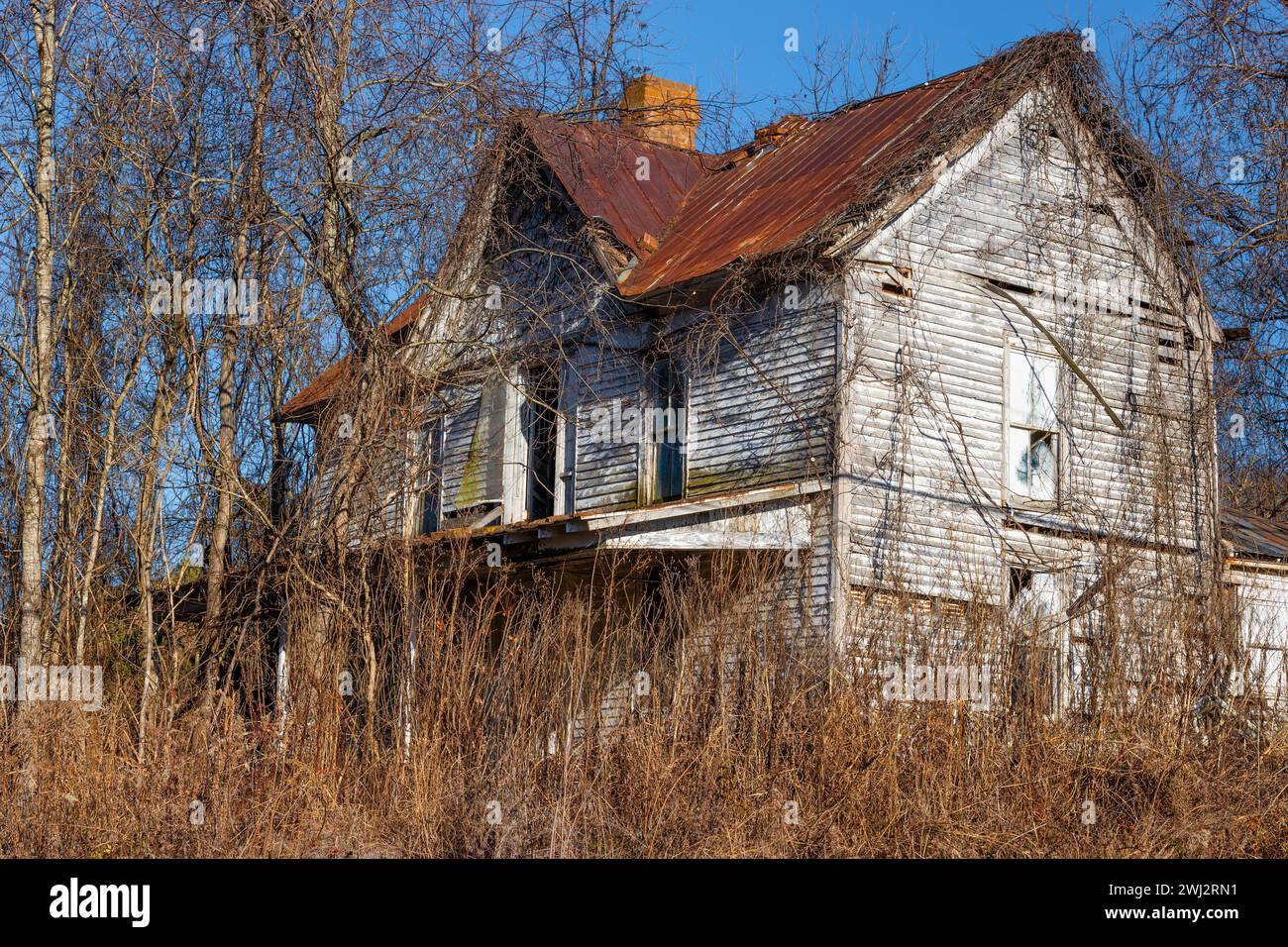 Verlassenes olf-Bauernhaus verfällt und mit Weinreben bewachsen im ländlichen Tennessee. Stockfoto