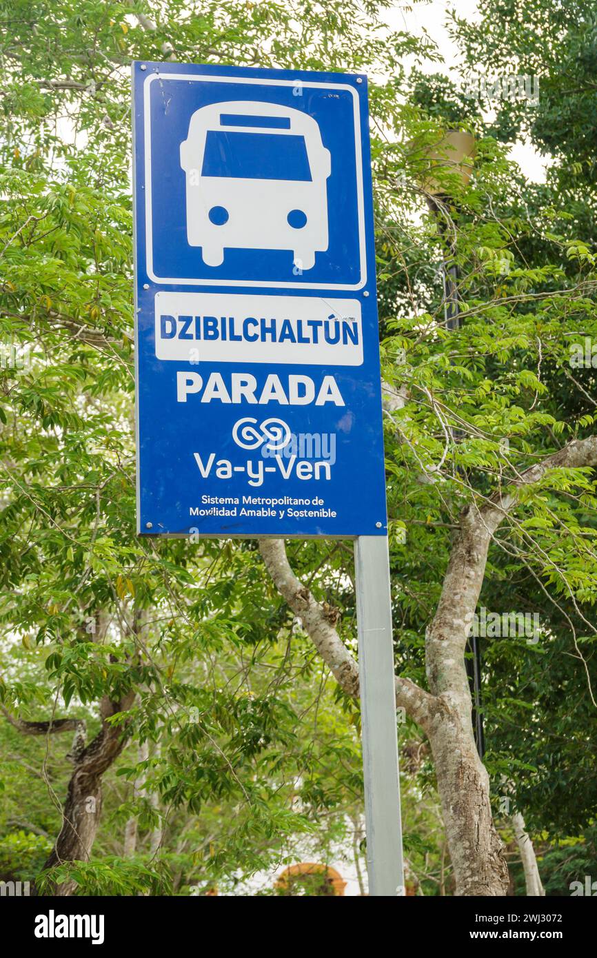 Merida Mexico, Dzibilchaltun, öffentliche Verkehrsmittel Bushaltestelle Schilder Informationen, Werbung Werbung, mexikanische Hispanic Latin Latino, Spanis Stockfoto