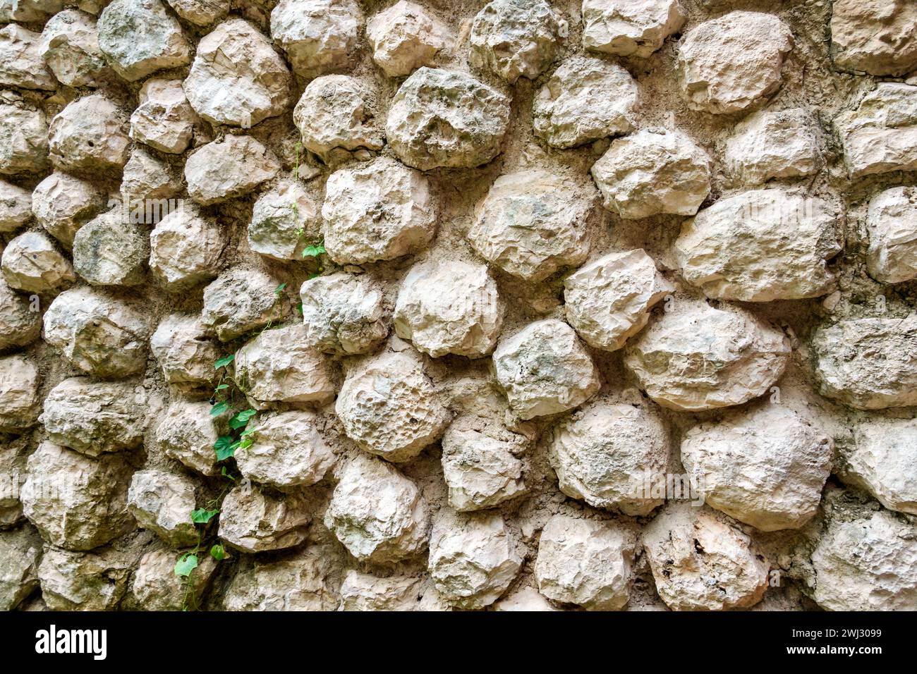 Merida Mexico, Dzibilchaltun Archäologische Zone Nationalpark, Maya Zivilisation Stadt Ruinen, Zona Arqueologica de Dzibilchaltun, Eingangsbereich Wand Stockfoto