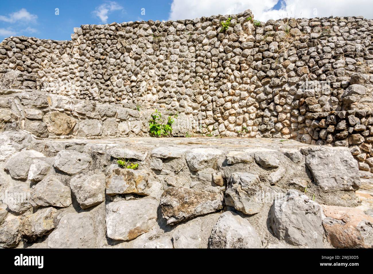 Merida Mexico, Dzibilchaltun Archäologische Zone Site Nationalpark, Maya Zivilisation Stadt Ruinen, Zona Arqueologica de Dzibilchaltun, Felsstein Kalmesto Stockfoto