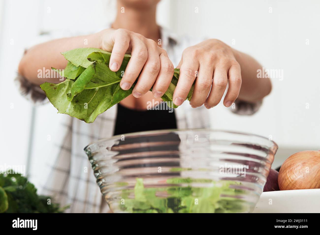 Weibliche Hände zerreißen Salat in eine Schüssel für vegetarischen Salat Stockfoto