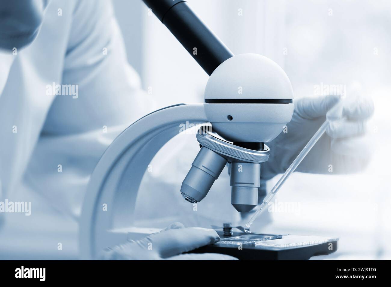 Wissenschaftler verwenden Immersionsöl für die Mikroskopie in einem Labor während der wissenschaftlichen Forschung Stockfoto