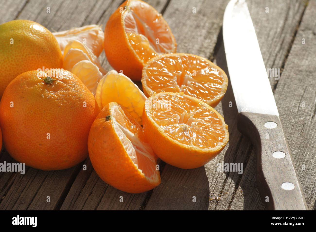 Citrus x clementina SRA 89, Clementine, sortieren Stockfoto