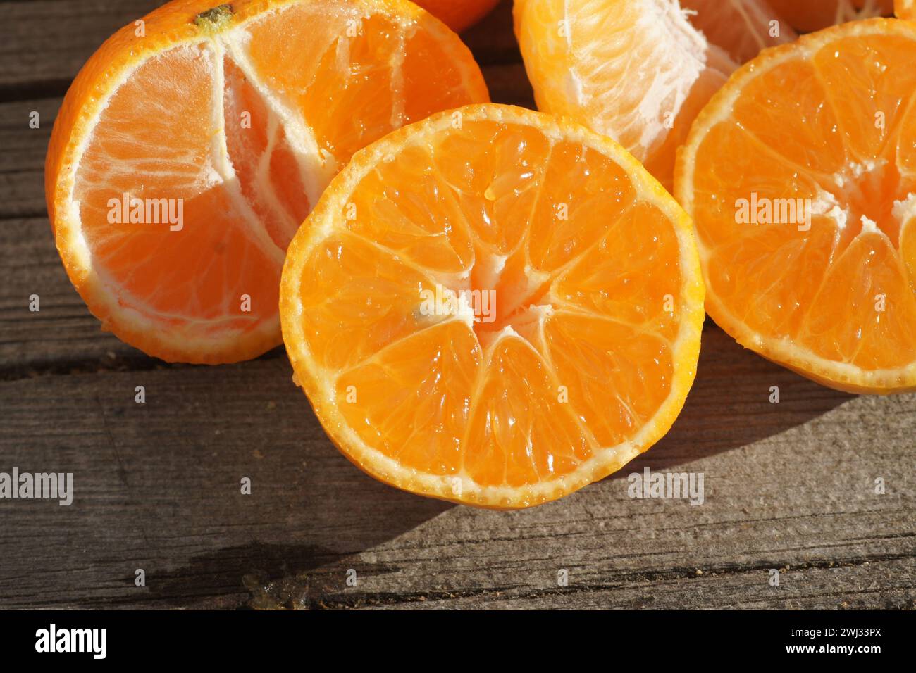 Citrus x clementina SRA 89, Clementine, Sorte Stockfoto