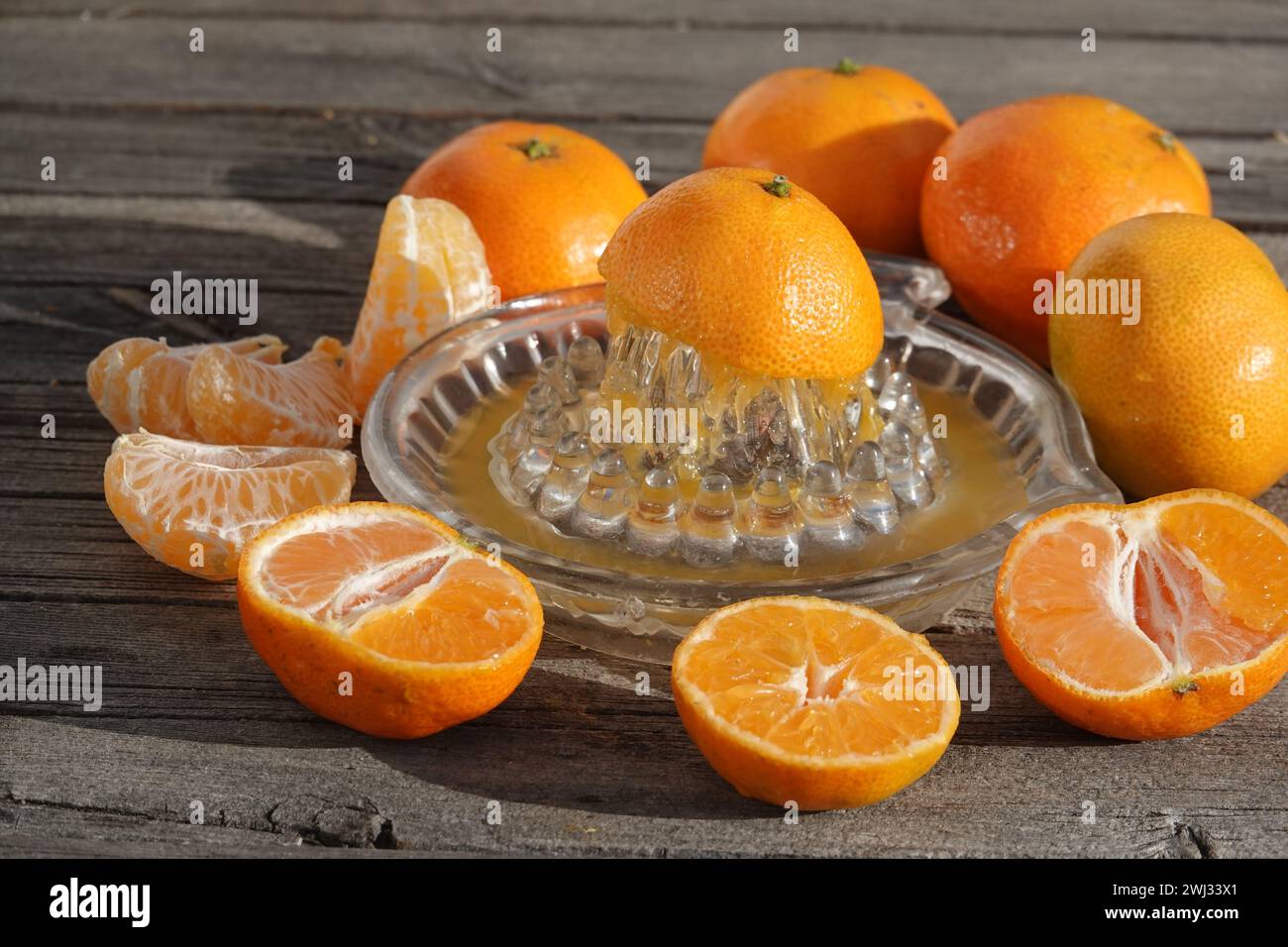 Citrus x clementina SRA 89, Clementine, Sorte, Saft Stockfoto