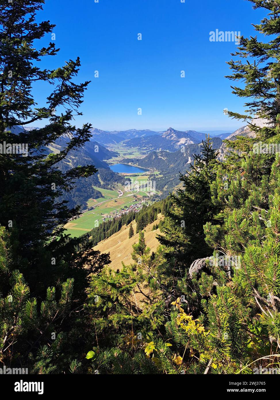 Blick vom Hahnenkamm nach Norden ins Tannheimer Tal Stockfoto