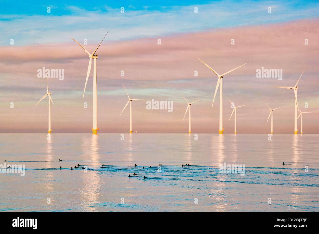 Windmühlen für die Stromerzeugung Niederlande Flevoland, Windturbinenfarm im Meer, Windmühlenfarm für grüne Energie Stockfoto