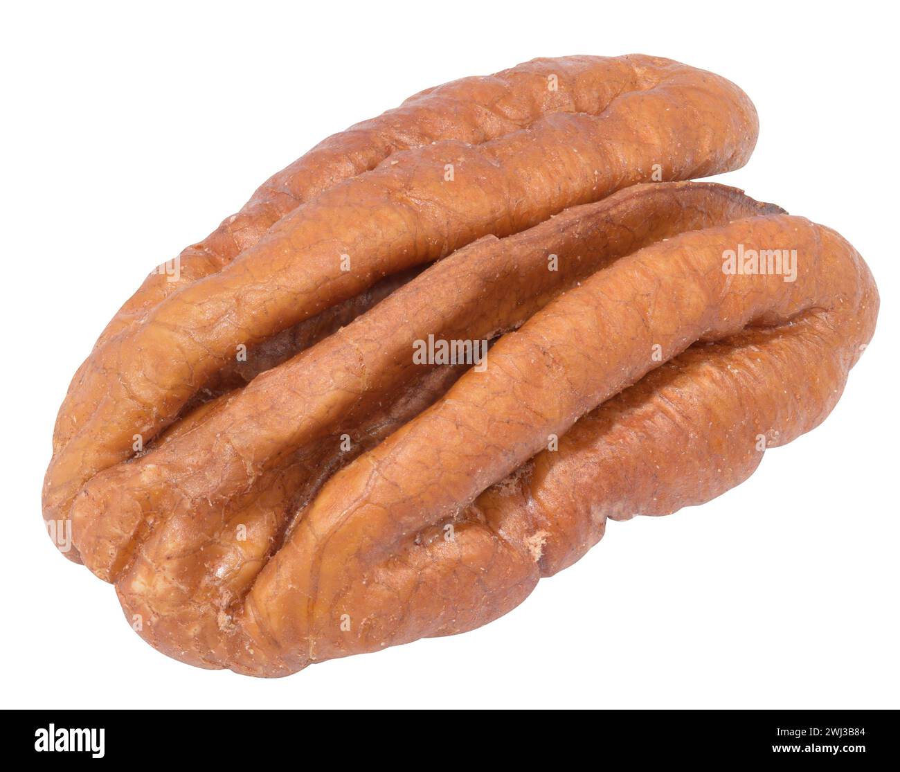 Pekannuss auf weißem isoliertem Hintergrund Stockfoto