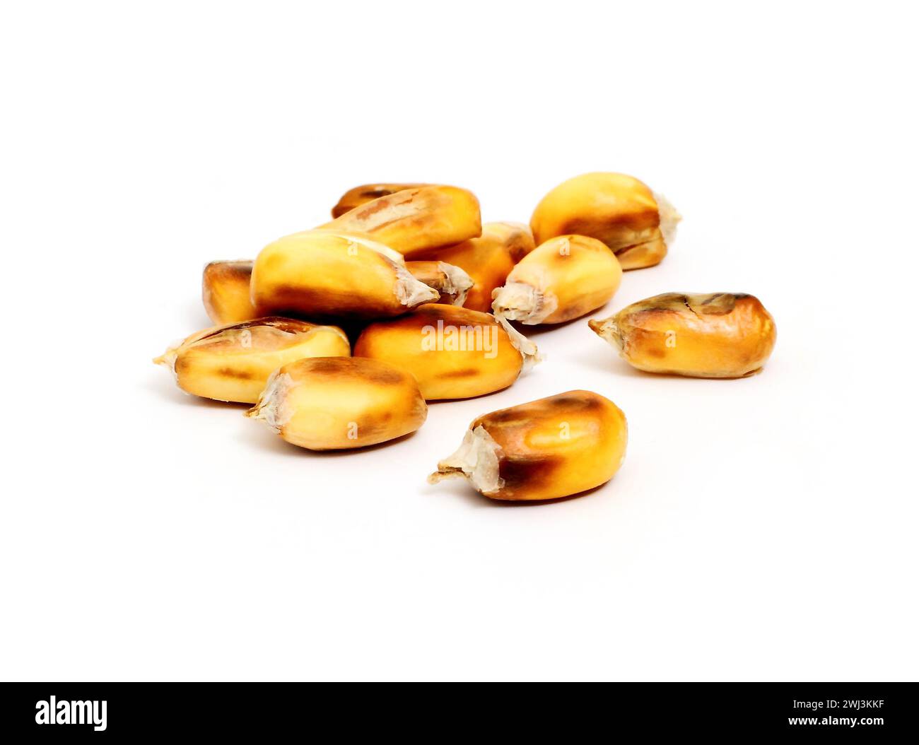 Großer, gelb gerösteter Mais auf dem Kolben Stockfoto