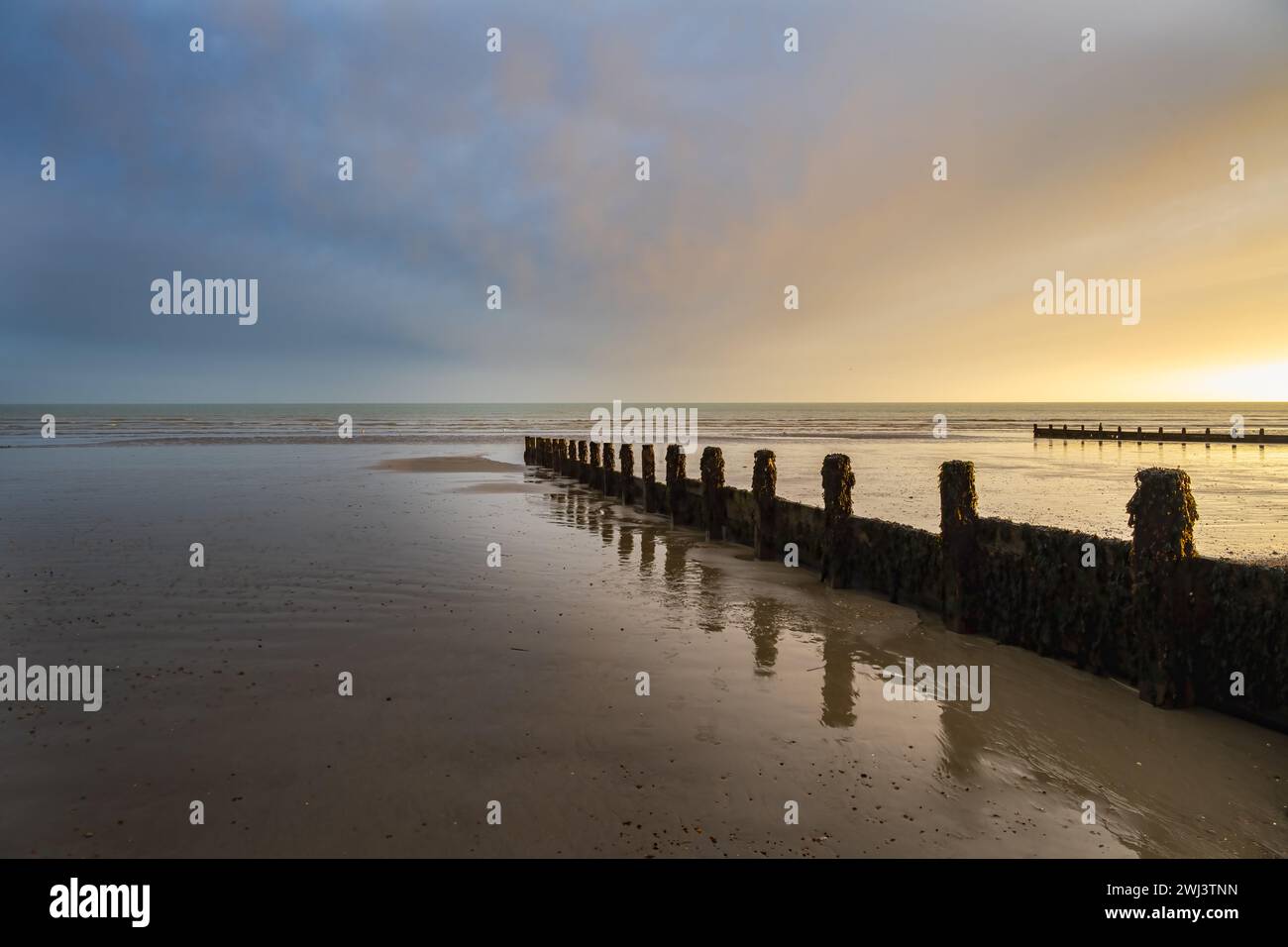 Sonnenuntergang am Felpham Beach an einem Winterabend, West Sussex, England. Blick auf die Holzkiefer. Stockfoto