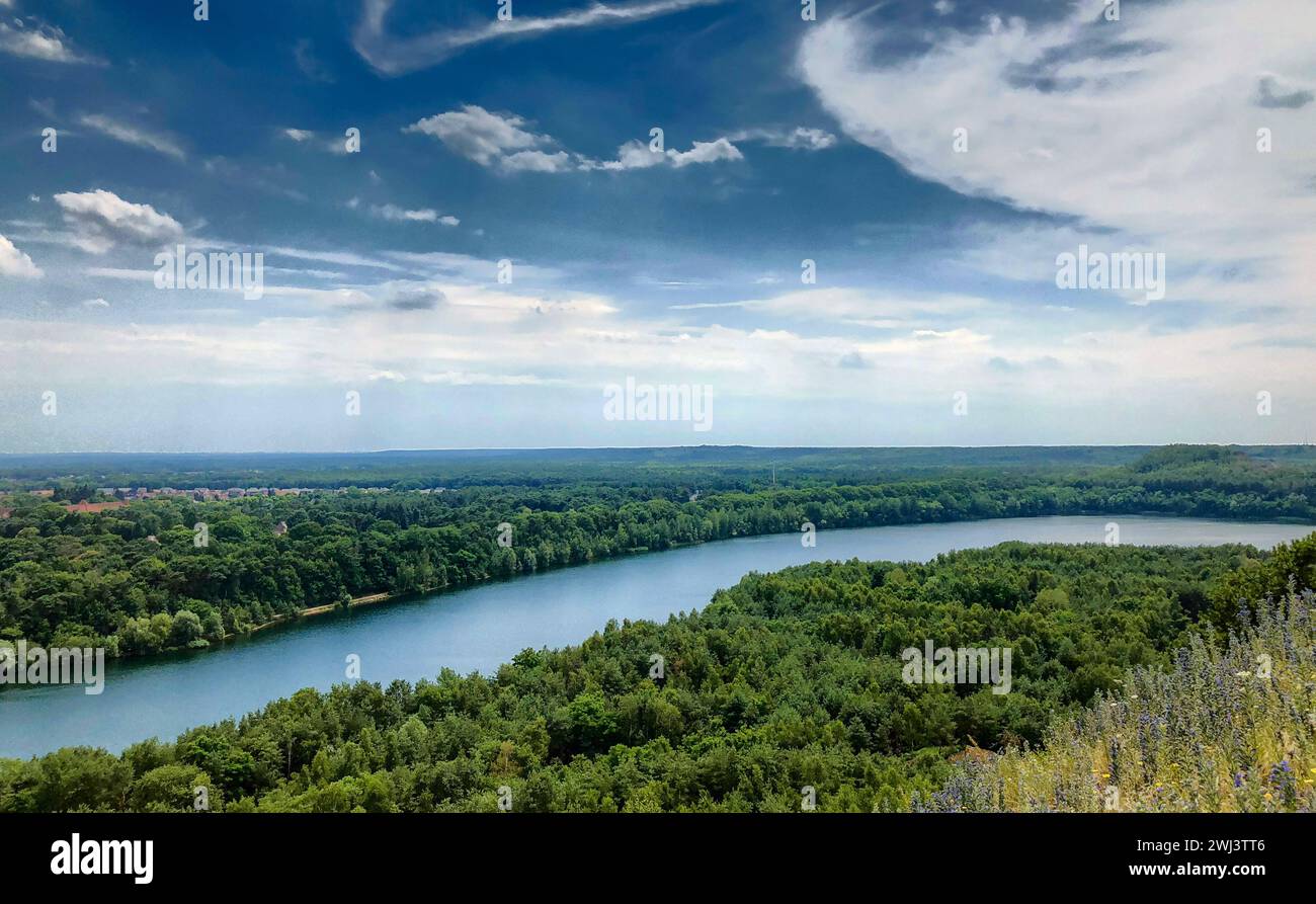 Panoramablick auf einen sich schlängelnden Fluss Stockfoto