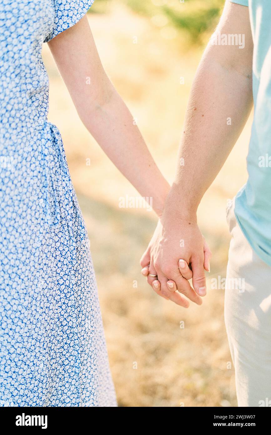 Der Ehemann hält seine Frau Hand, während er auf einem sonnigen Feld steht. Abgeschnitten. Gesichtslos Stockfoto