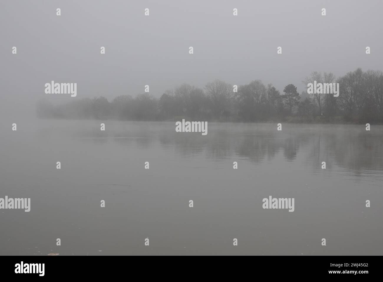 Donau, Danubia, Nebel Stockfoto