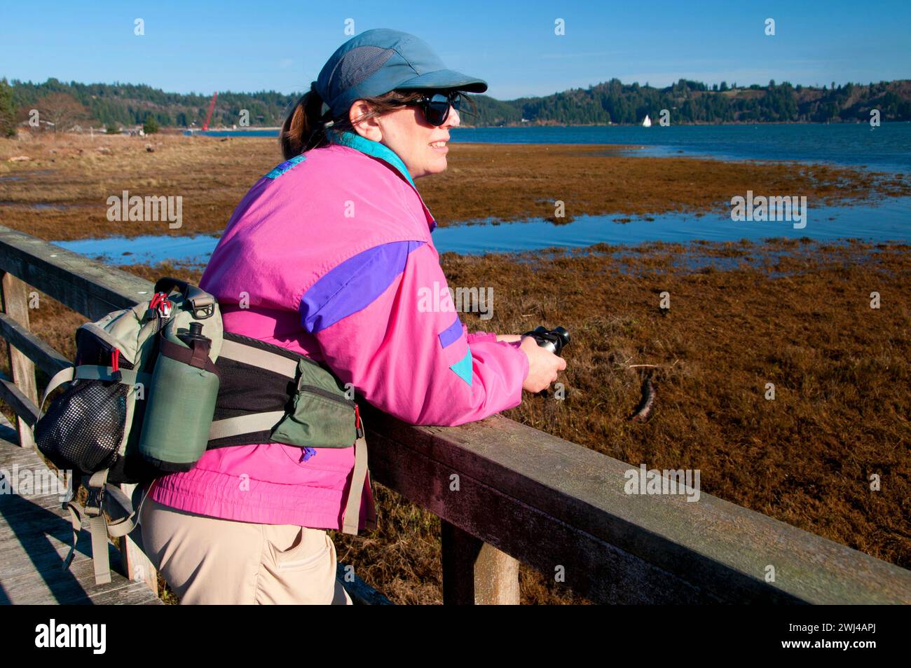 Boardwalk am Nature Trail, Hatfield Marine Science Center, Newport, Oregon Stockfoto