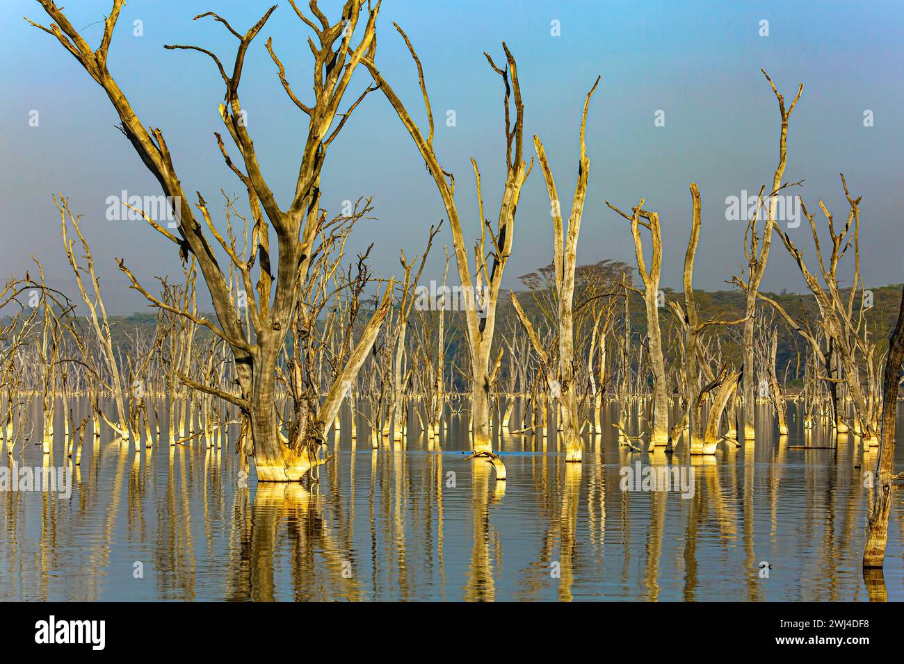 Lake Nakuru. Abenddämmerung Stockfoto