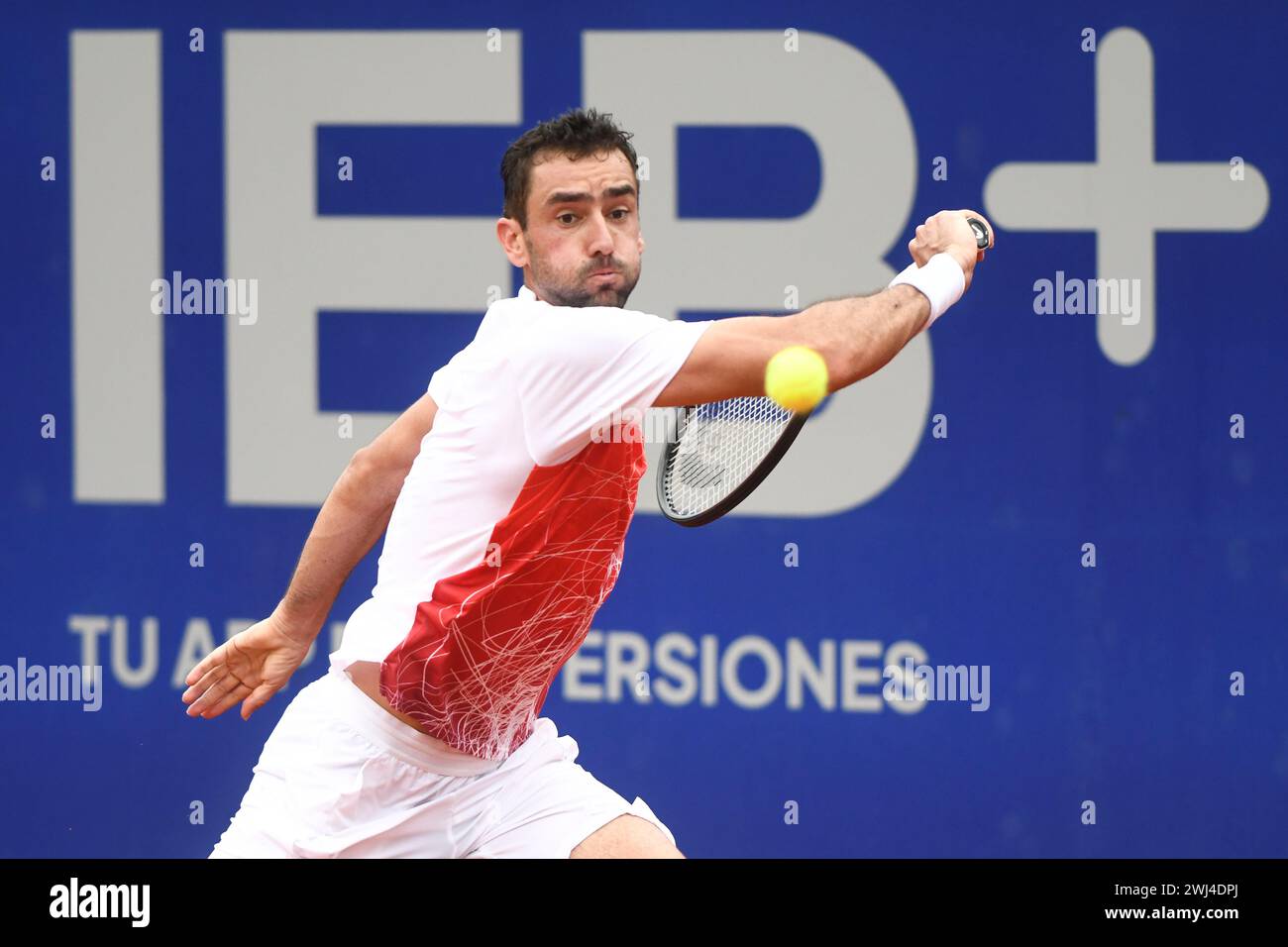 Marin Cilic (Kroatien). Argentina Open 2024 Stockfoto