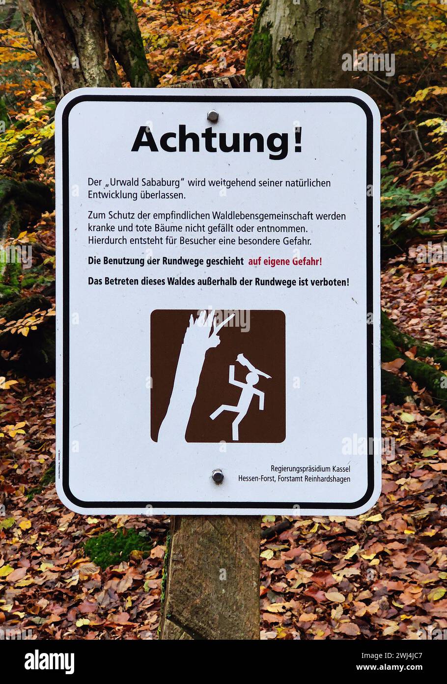 Warnschild im Sababurger Dschungel, Landkreis Reinhardswald, Hessen, Deutschland, Europa Stockfoto