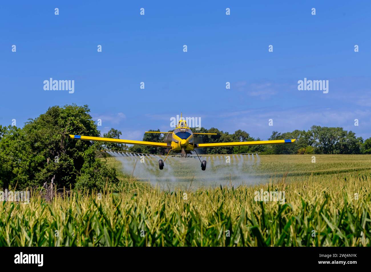 Skyward Guardians: Präzise Schädlingsbekämpfung durch Low-Fying Crop Dusters sorgt für robuste Felder und gesunde Ernteerträge Stockfoto