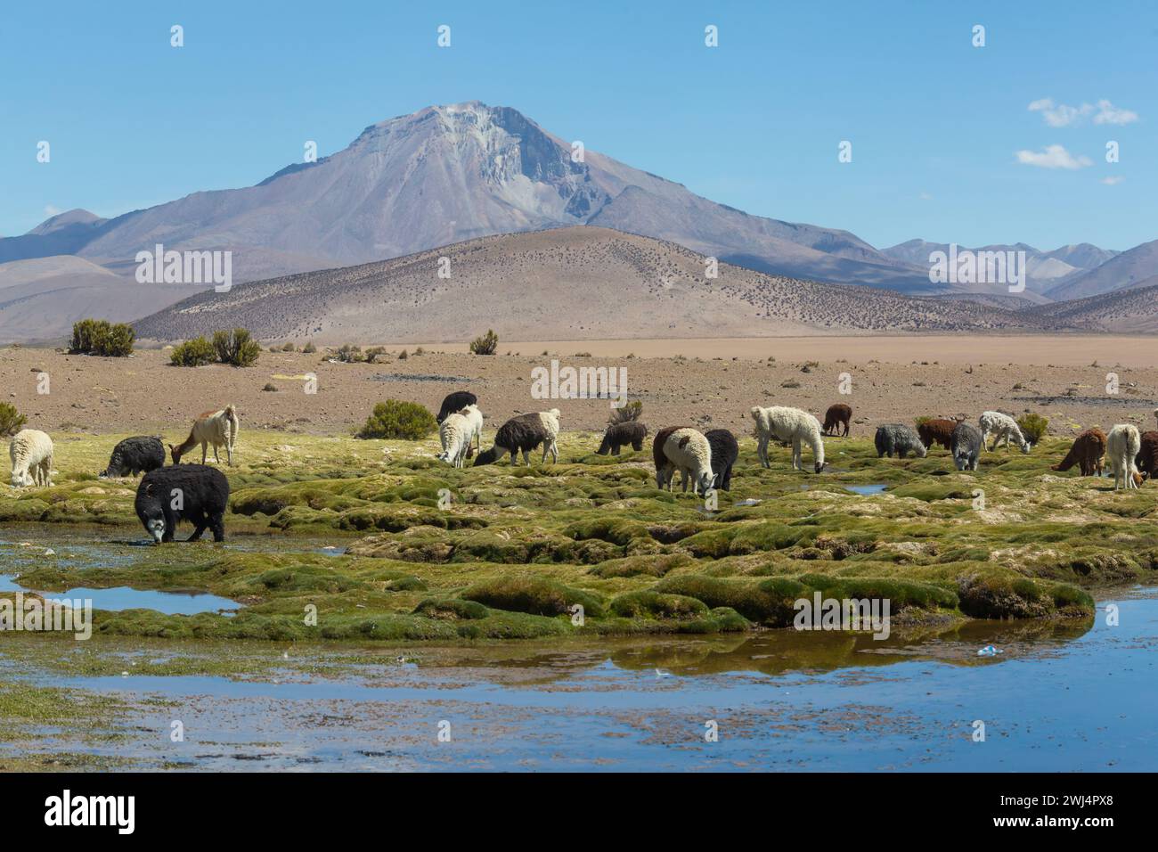 Wandern in den Anden, Peru, Südamerika Stockfoto