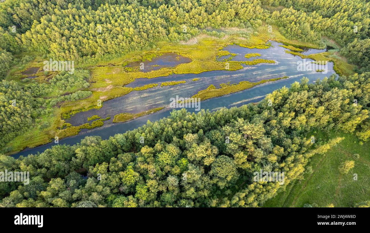 Üppiges grünes Feuchtgebiet von oben Stockfoto Üppiges grünes Feuchtgebiet von oben Stockfoto