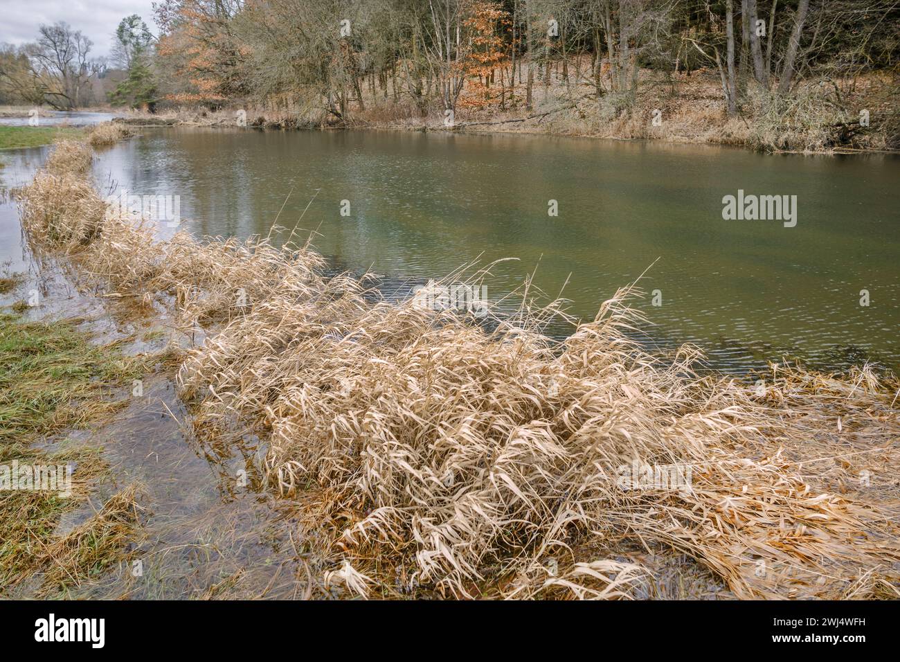 Am Ufer der Saale Stockfoto