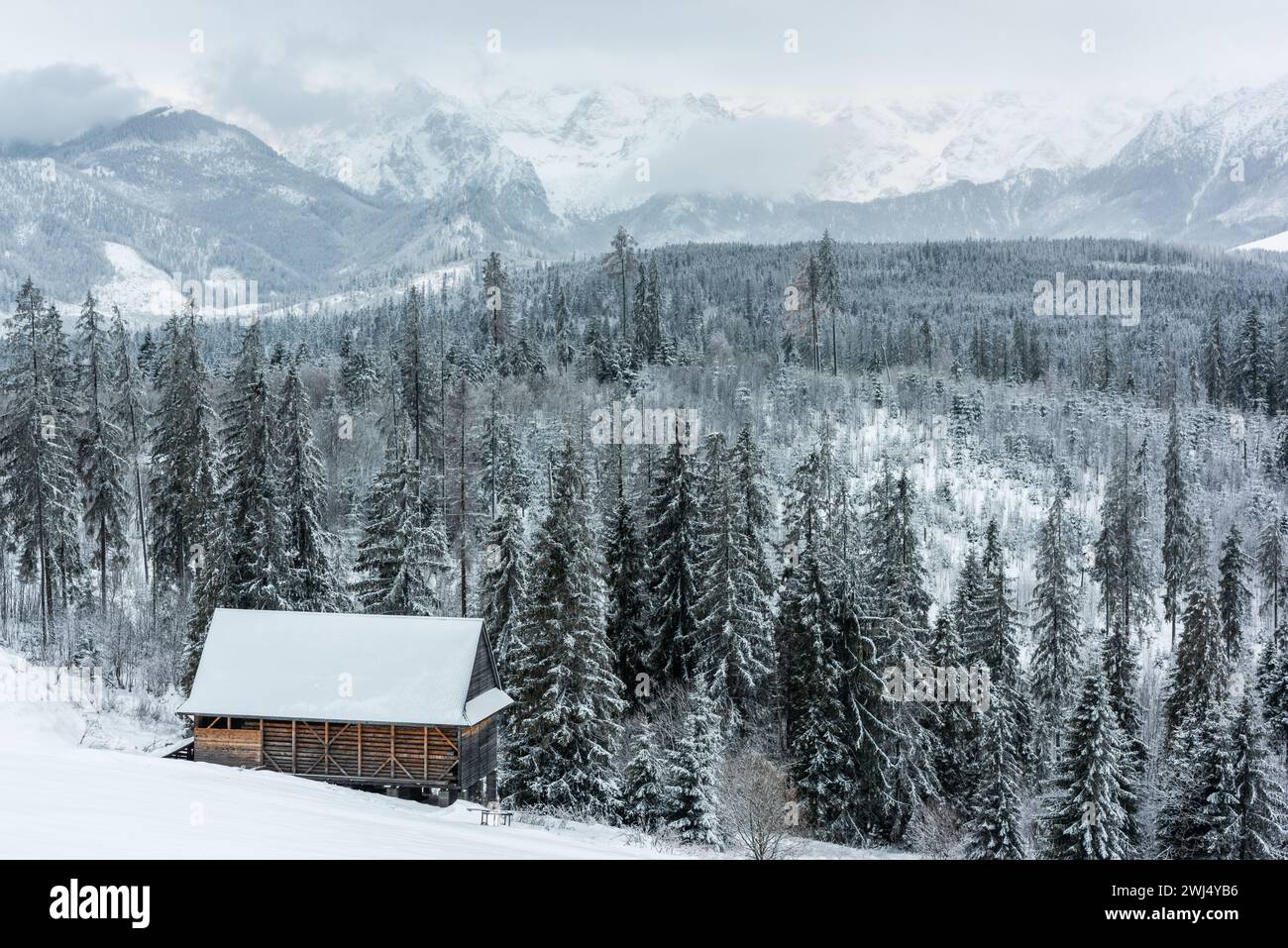 Hohe Tatra in der winterlichen Schneelandschaft Stockfoto