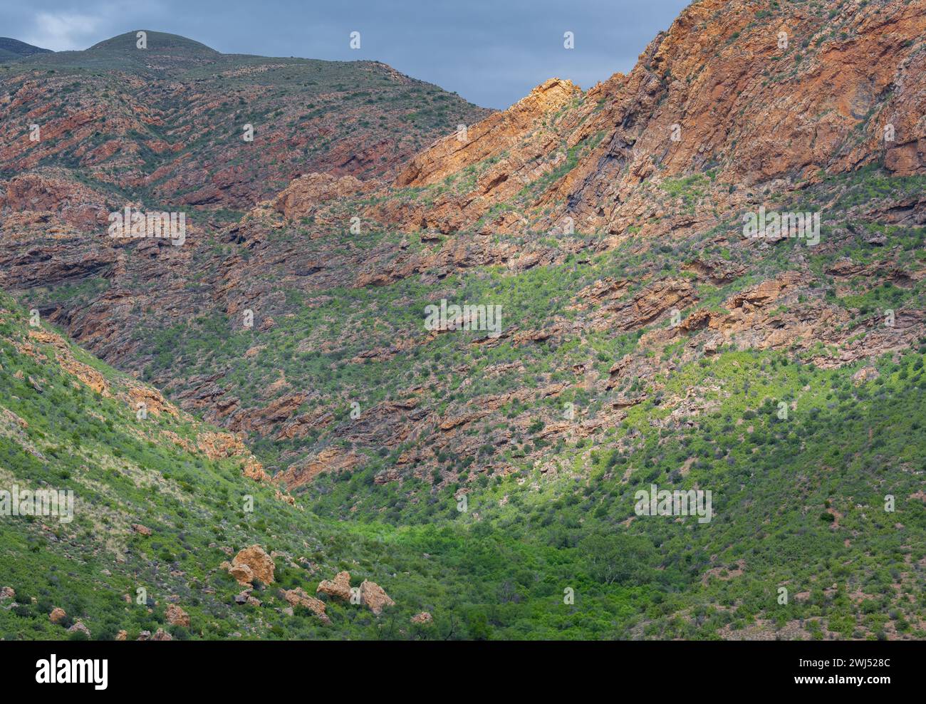 Cango Caves Mountain Range nahe Oudtshoorn Südafrika Stockfoto