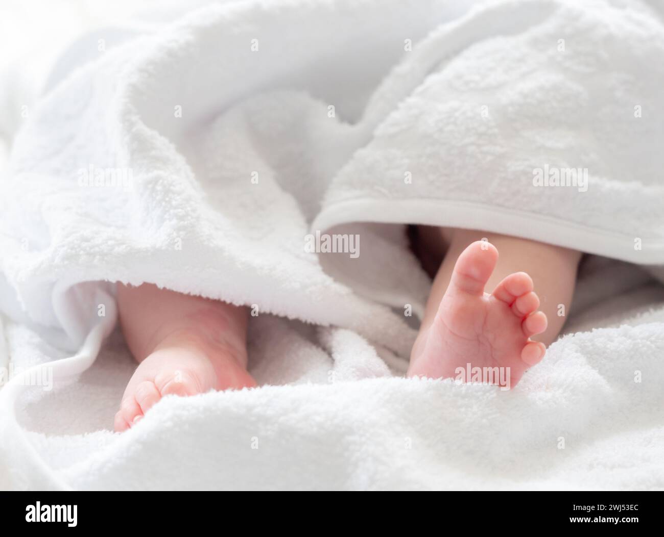 Frisch gebadet Babybeine, die bequem in Baumwolle ruhen. Konzept der kindlichen Reinheit und Pflege Stockfoto