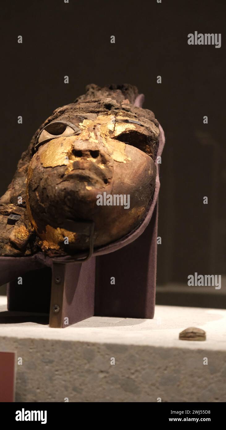 Eine Nahaufnahme von Königin Tiyes Kopf, einem altägyptischen Artefakt aus dem Neuen Museum Berlin Stockfoto