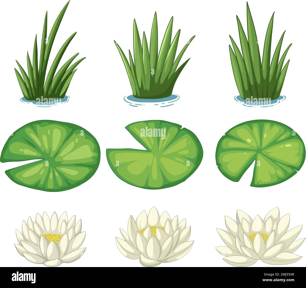 Vektordarstellungen verschiedener Wasserpflanzen. Stock Vektor
